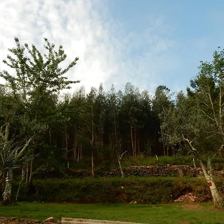 Casa De Carvalho Lys