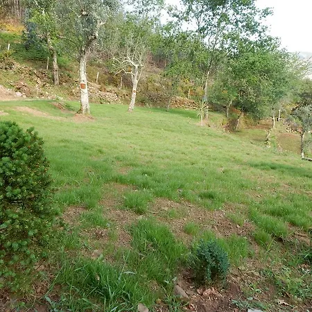 Casa De Carvalho Lys *