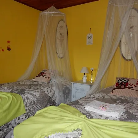 Casa De Carvalho Lys Cinfaes