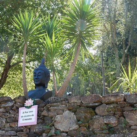 Casa De Carvalho Lys Cinfães