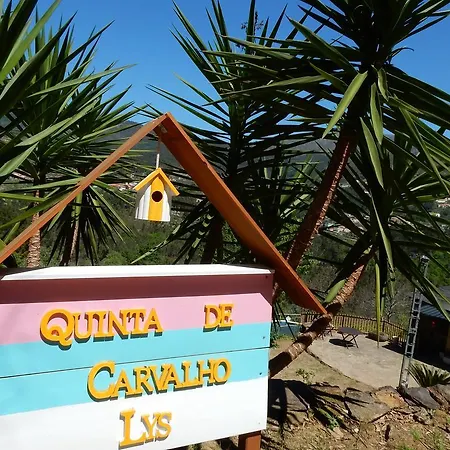 Casa De Carvalho Lys * Cinfães