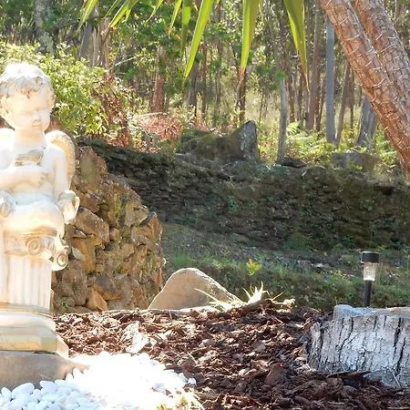 Casa De Carvalho Lys Affittacamere