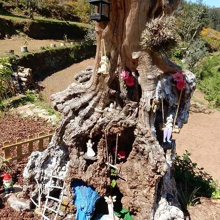 Casa De Carvalho Lys *