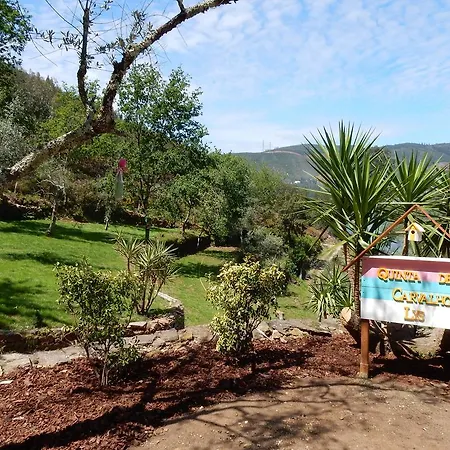 Guest house Casa De Carvalho Lys Cinfaes