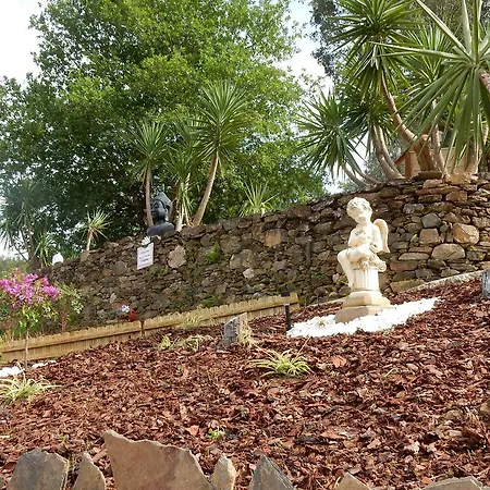 Casa De Carvalho Lys