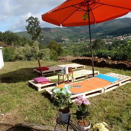 Affittacamere Casa De Carvalho Lys Cinfães